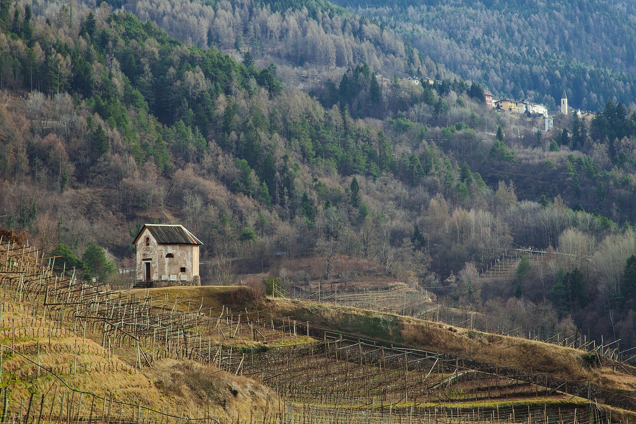 Cembra Lisignago